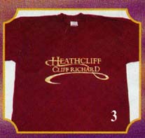Foil Print Burgundy T-Shirt